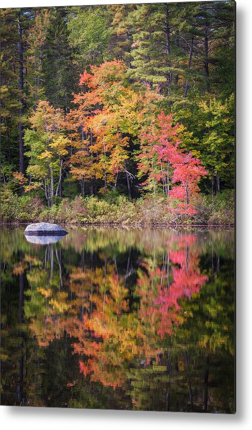Leaves Metal Print featuring the photograph Lake Chocorua Moment of Reflection by Karen Stephenson