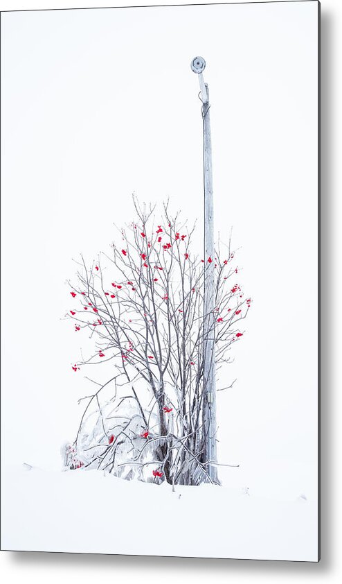 Abandoned Metal Print featuring the photograph Lamp Post by Jakub Sisak