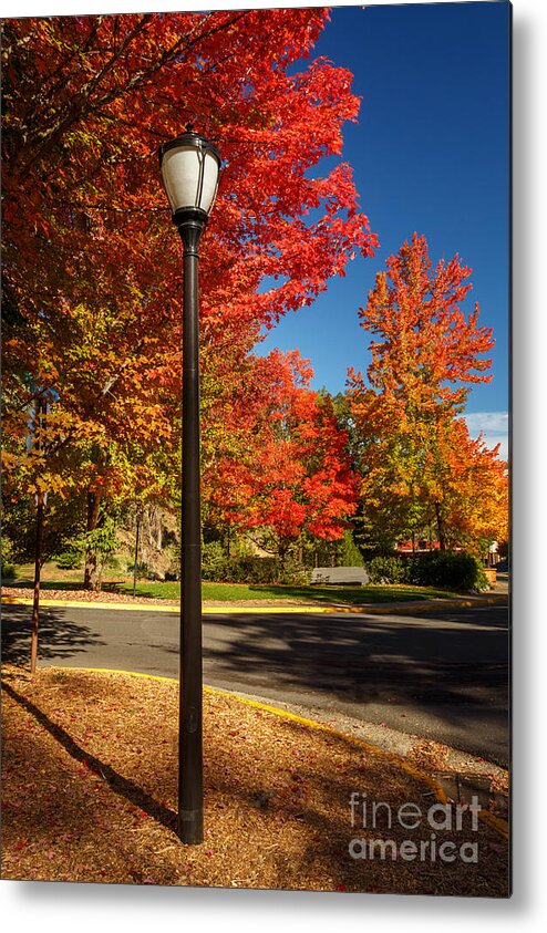 Lamp Post Metal Print featuring the photograph Lamp Post On The Corner by James Eddy