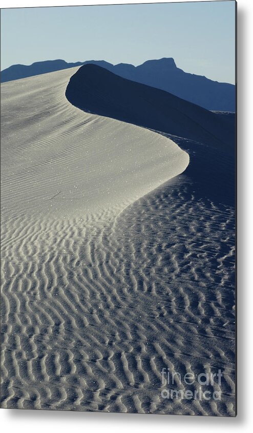Landscape Metal Print featuring the photograph Leading Lines by Vivian Christopher