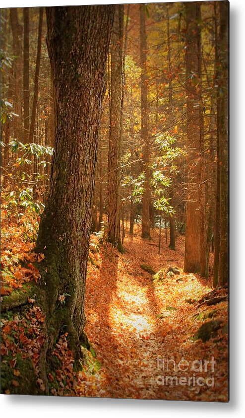 Trees Metal Print featuring the photograph Let's take a walk by Geraldine DeBoer