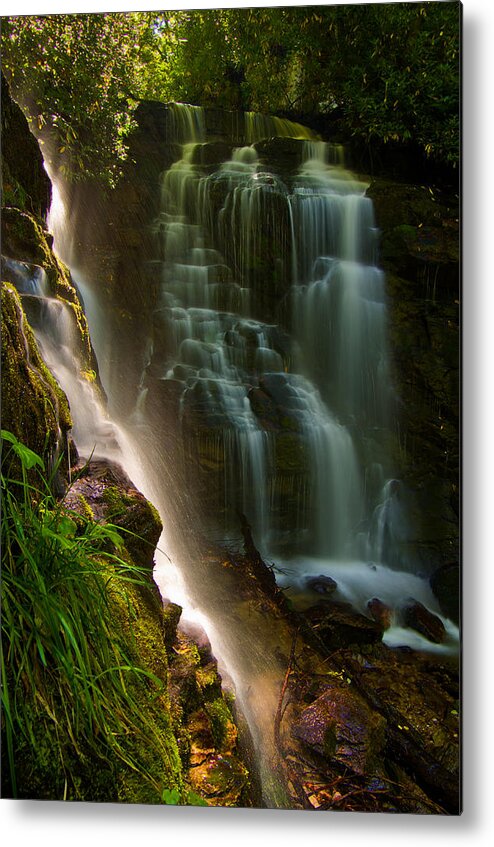 North Carolina Metal Print featuring the photograph Light into the shadows by Ulrich Burkhalter