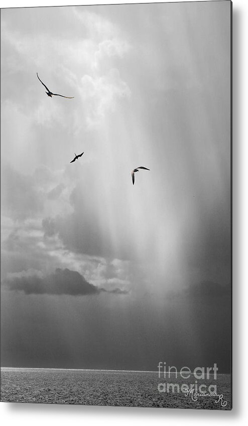 Light Metal Print featuring the photograph Light Shower by Mariarosa Rockefeller