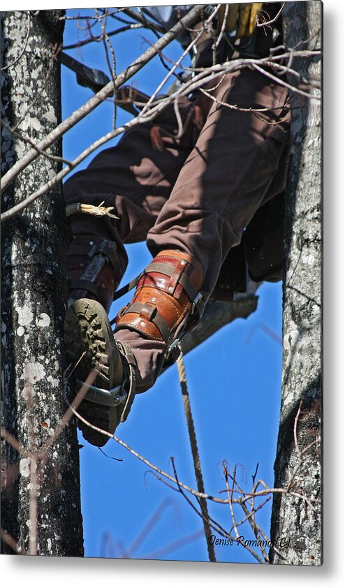 Tree Metal Print featuring the photograph Lineman by Denise Romano