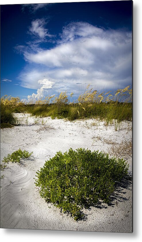 Sand Dunes Metal Print featuring the photograph Listen To The Silence by Marvin Spates