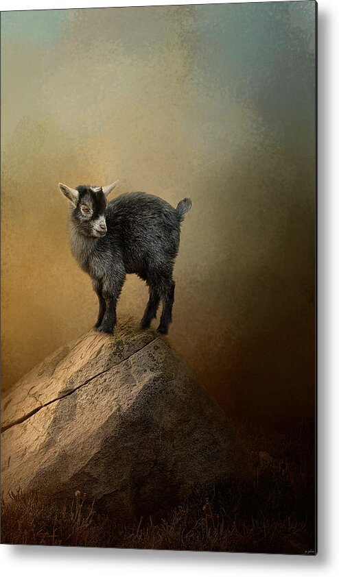  Jai Johnson Metal Print featuring the photograph Little Rock Climber by Jai Johnson