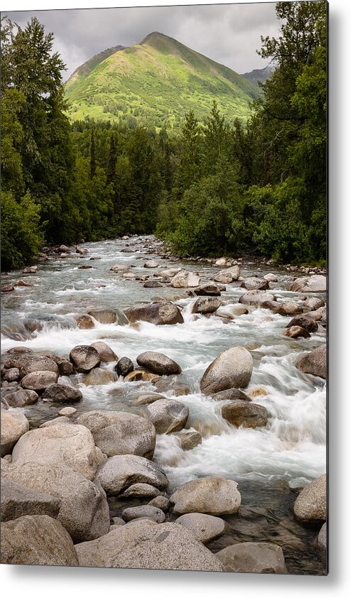 Alaska Metal Print featuring the photograph Little Susitna River by Richard Smith