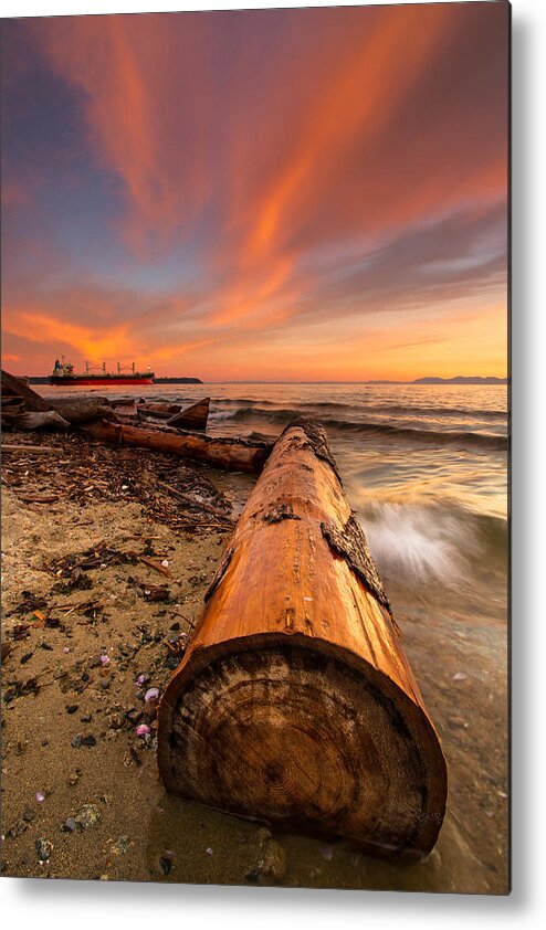 Sky Metal Print featuring the photograph Login to nature by Eti Reid