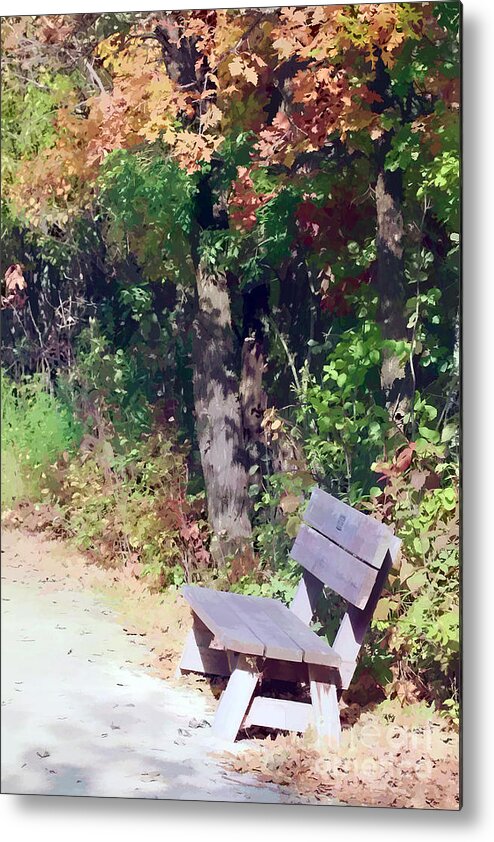 Bench Metal Print featuring the photograph Lone Bench Under A Tree by Teresa Zieba