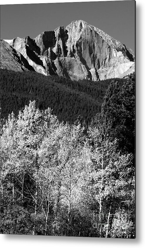 Longs Peak Metal Print featuring the photograph Longs Peak 14256 Ft by James BO Insogna