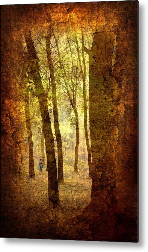Tree Metal Print featuring the photograph Lost in the DreamLand Woods by Jenny Rainbow