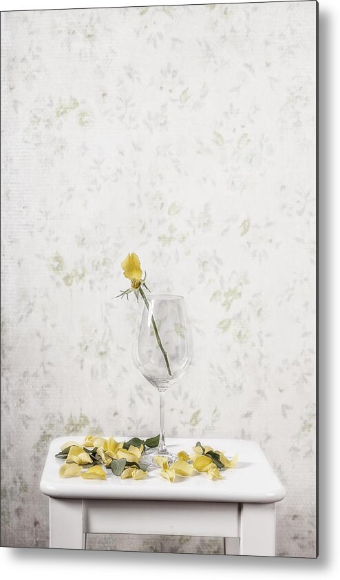 Rose Metal Print featuring the photograph Lost Petals by Joana Kruse