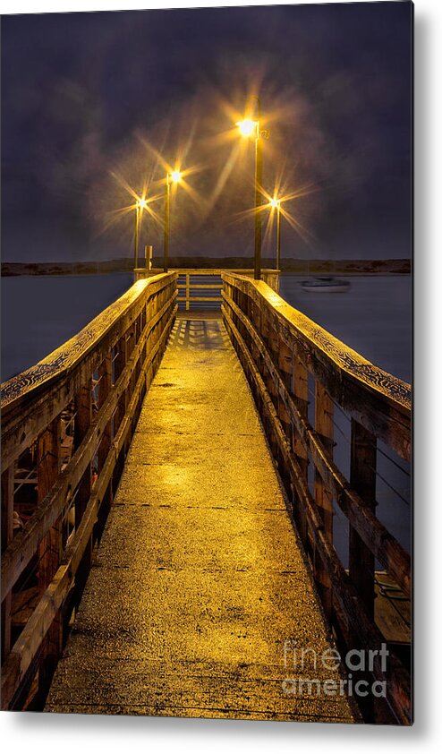 Bridge Metal Print featuring the photograph Luminous by Alice Cahill