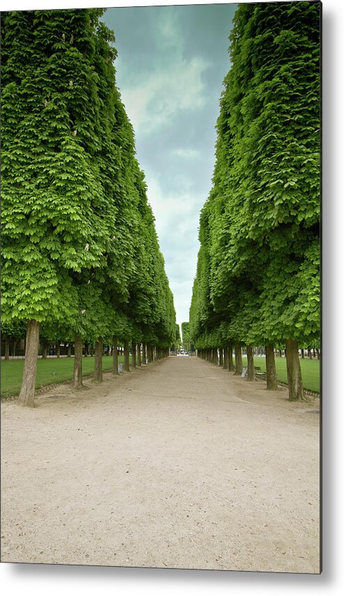 Tranquility Metal Print featuring the photograph Luxembourg Garden by Marzo . Photography