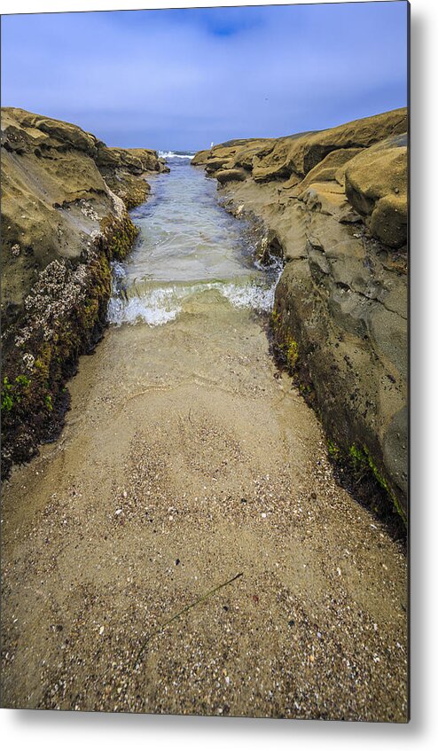 Tide Pool Metal Print featuring the photograph Make Way 2 by Scott Campbell