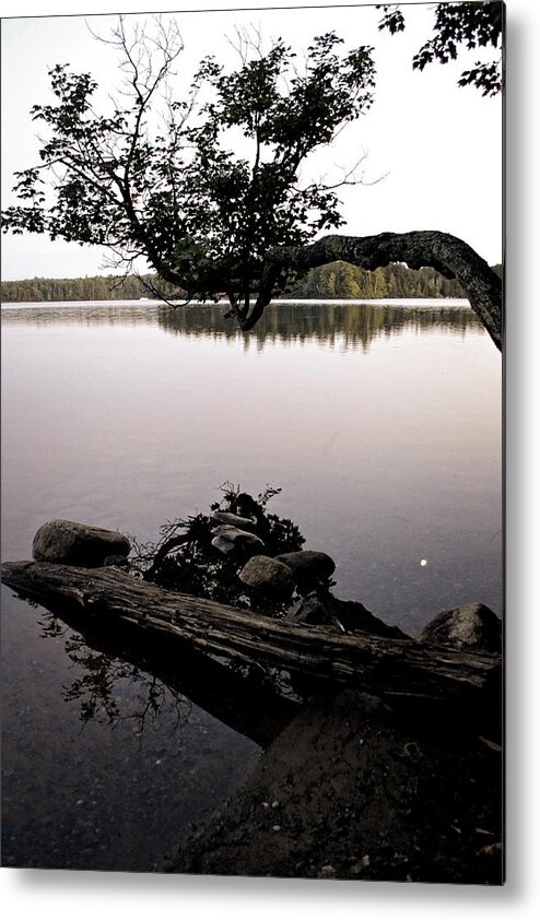 Beach Metal Print featuring the photograph Marion Lake and the Moon by Michelle Calkins