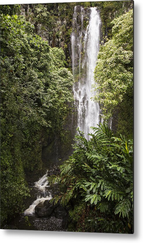 Water Metal Print featuring the photograph Maui Waterfall by Suanne Forster
