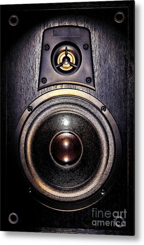 Speaker Metal Print featuring the photograph Mean Speaker by Olivier Le Queinec