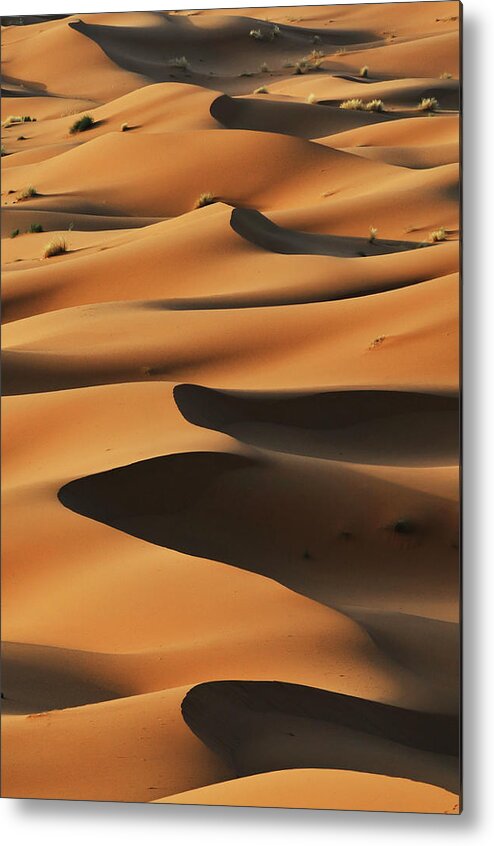 Sand Dune Metal Print featuring the photograph Merzouga Sand Dunes At Sunrise, Sahara by Ignacio Palacios