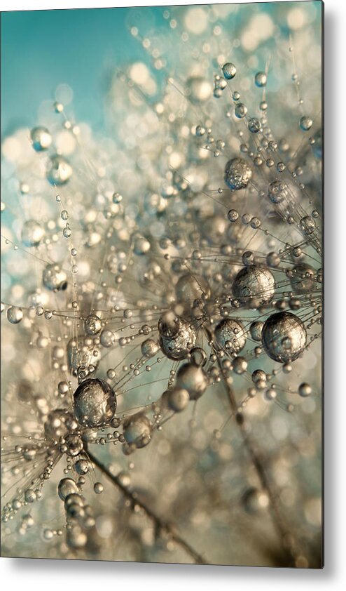 Dandelion Metal Print featuring the photograph Metal Blue Dandy Sparkle by Sharon Johnstone
