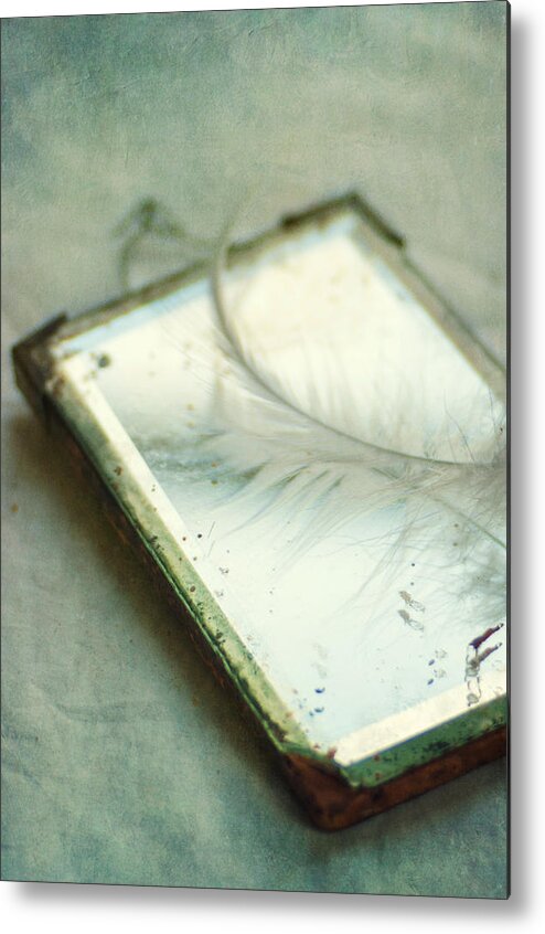 Fragility Metal Print featuring the photograph Mirror by Jill Ferry