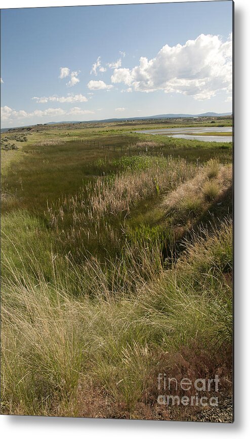 Modoc Wildlife Refuge Metal Print featuring the photograph 745P Modoc by NightVisions