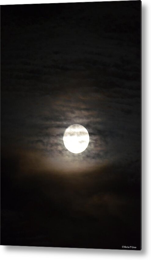 Moonlight In September Metal Print featuring the photograph Moonlight in September by Maria Urso