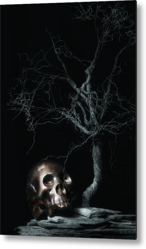 Art Metal Print featuring the photograph Moonlit Skull and Tree Still Life by Tom Mc Nemar