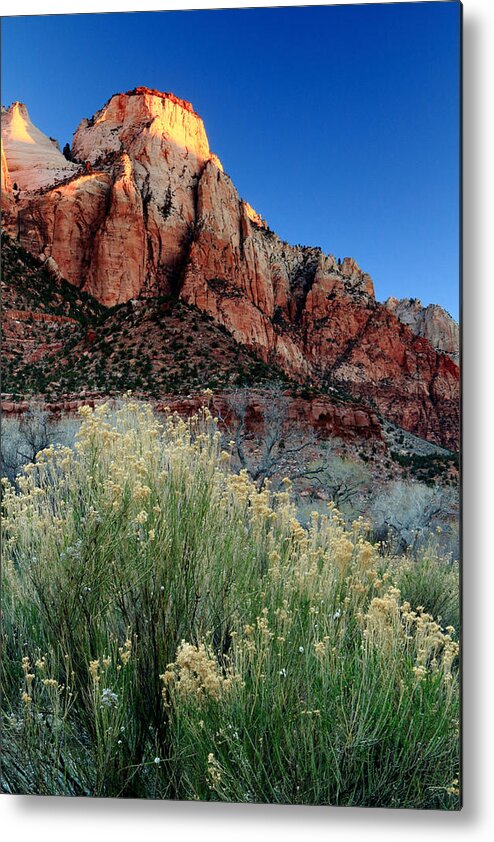 Utah Metal Print featuring the photograph Morning at Zion National Park by Eric Foltz