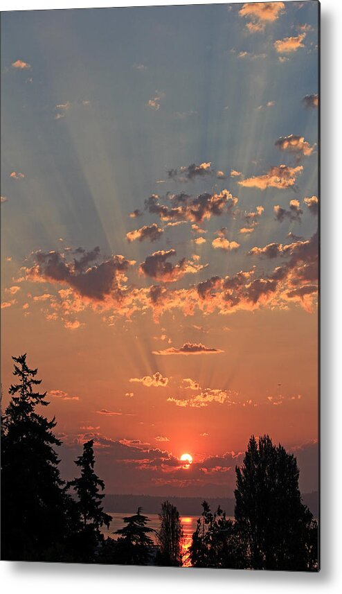 Sunrise Metal Print featuring the photograph Morning Rays by E Faithe Lester