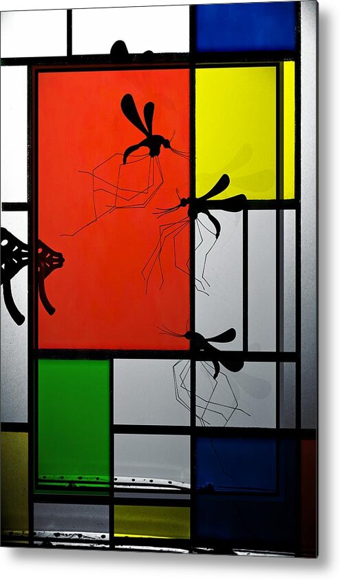 Glass Metal Print featuring the photograph Mosquitos at the Window by Michael Hope