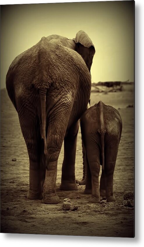 Mother And Baby Elephant Metal Print featuring the photograph Mother And Baby Elephant In Black And White by Amanda Stadther