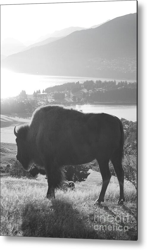 Buffalo Metal Print featuring the painting Mountain wildlife by Pixel Chimp