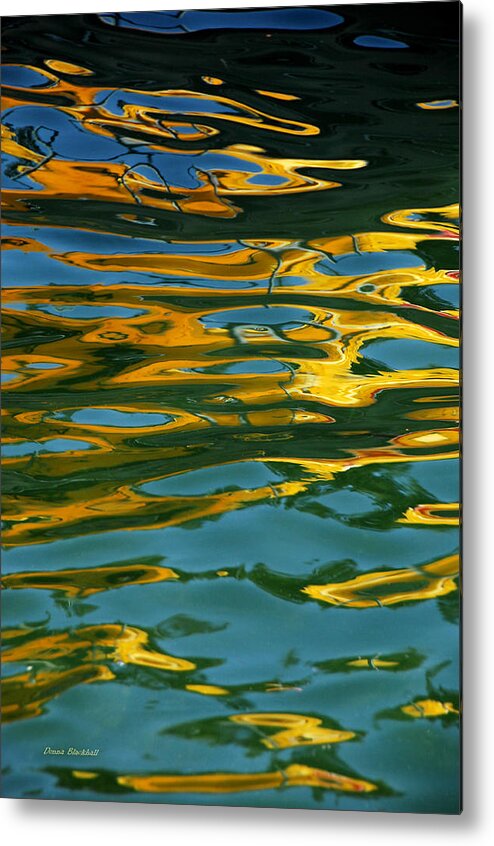 Abstract Metal Print featuring the photograph Mysterious Movements by Donna Blackhall