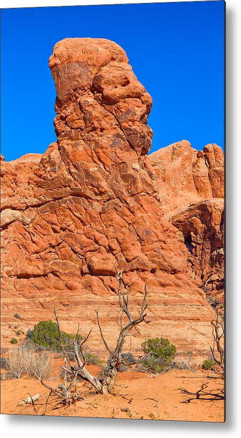 Nature Metal Print featuring the photograph Natural Sculpture by John M Bailey