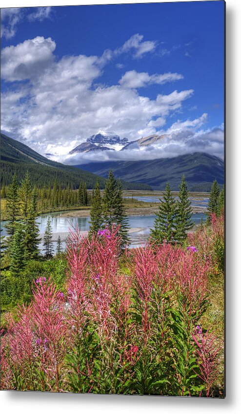 Landscape Metal Print featuring the photograph Natures Majesty by Darlene Bushue