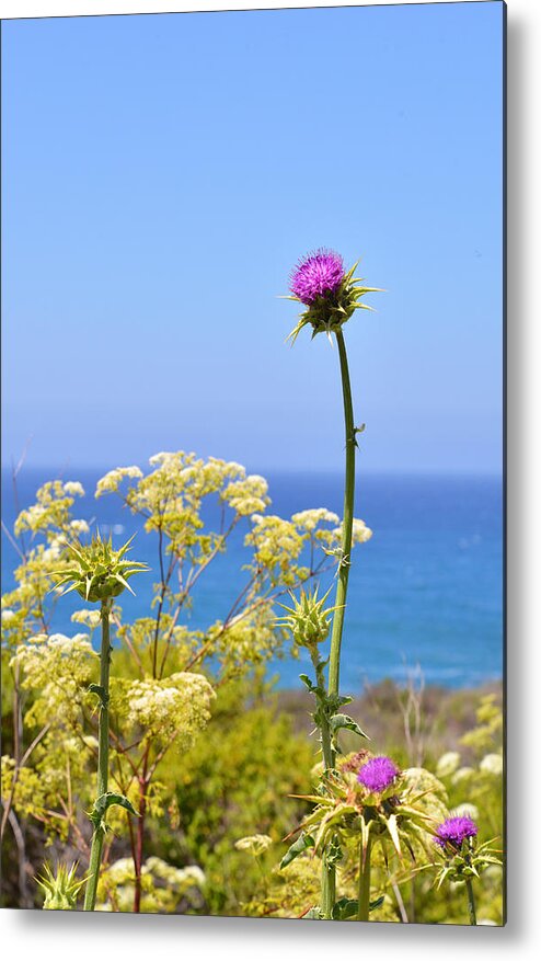 Cambria Metal Print featuring the photograph Natures Song by Lynn Bauer