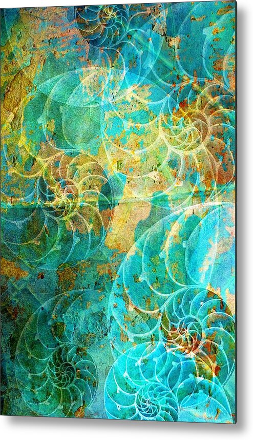 Beach House Metal Print featuring the photograph Nautilus Seashells In Aqua by Suzanne Powers