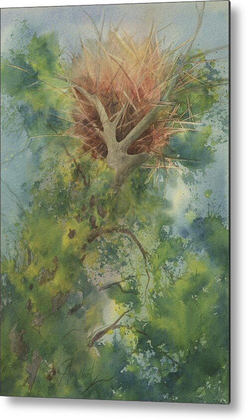 Wisconsin Artist Metal Print featuring the painting Nest At The Catherdral Pines by Johanna Axelrod