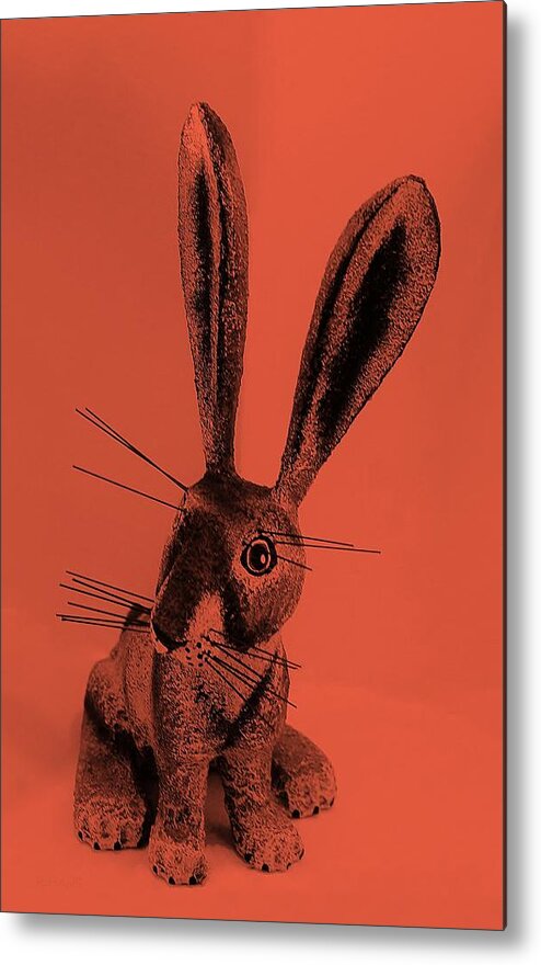 Rabbit Metal Print featuring the photograph New Mexico Rabbit Salmon by Rob Hans