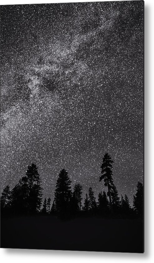 Nancy Strahinic Metal Print featuring the photograph Night Serenity by Nancy Strahinic