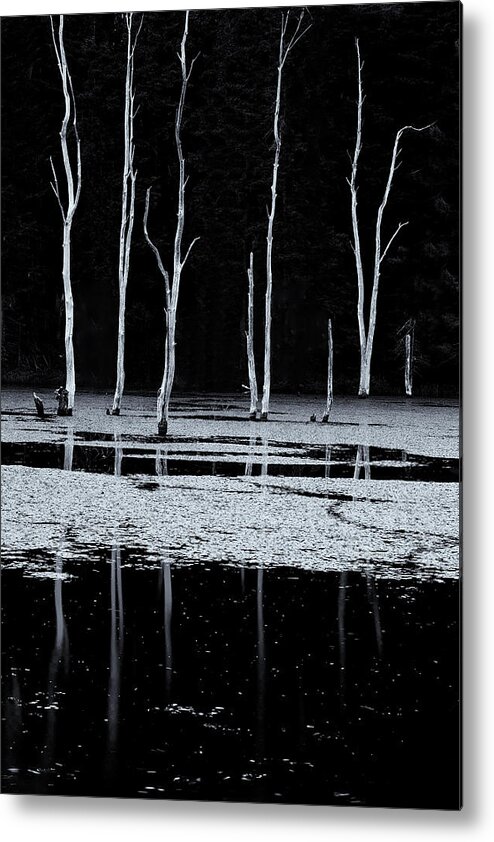 Sunset Lake Road West Brattleboro Vermont Metal Print featuring the photograph North Pond Twilight by Tom Singleton