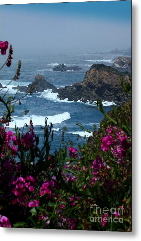 Northern Coast Beauty Metal Print featuring the photograph Northern Coast Beauty by Patrick Witz