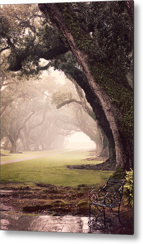 Oaks Metal Print featuring the photograph Oak Alley by Maria Robinson