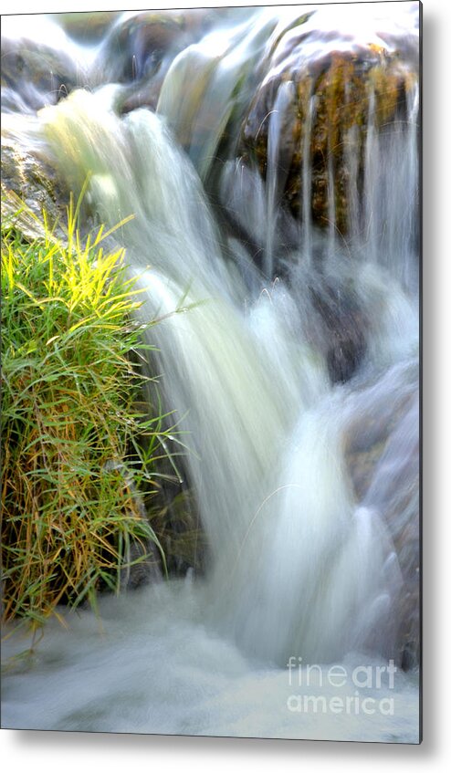 Water Metal Print featuring the photograph Oasis by Deb Halloran