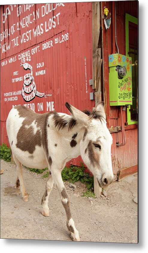 Americana Metal Print featuring the photograph Oatman, Arizona, United States by Julien Mcroberts