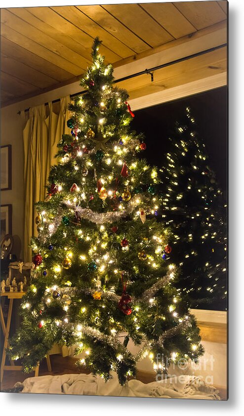  Metal Print featuring the photograph Oh Christmas Tree by Cheryl Baxter