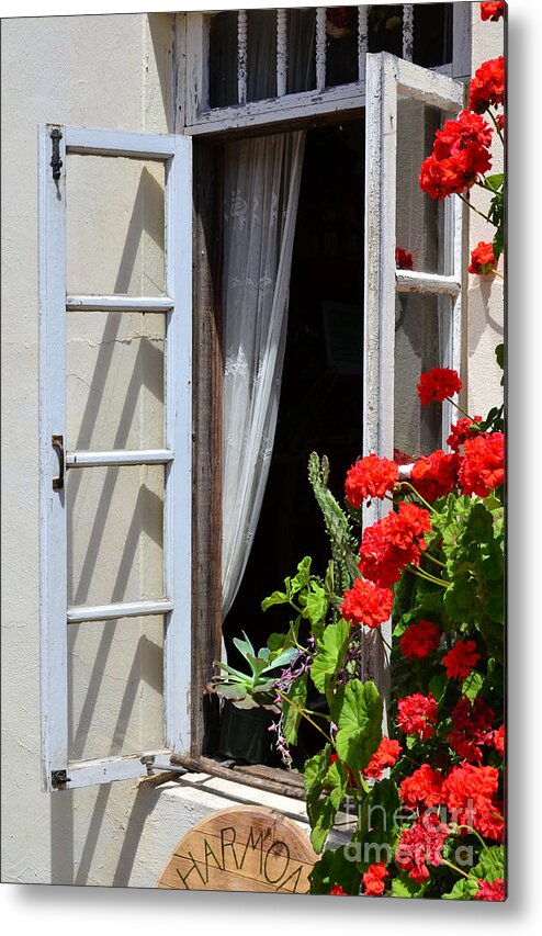 Flowers Metal Print featuring the photograph Old WIndow by Debby Pueschel
