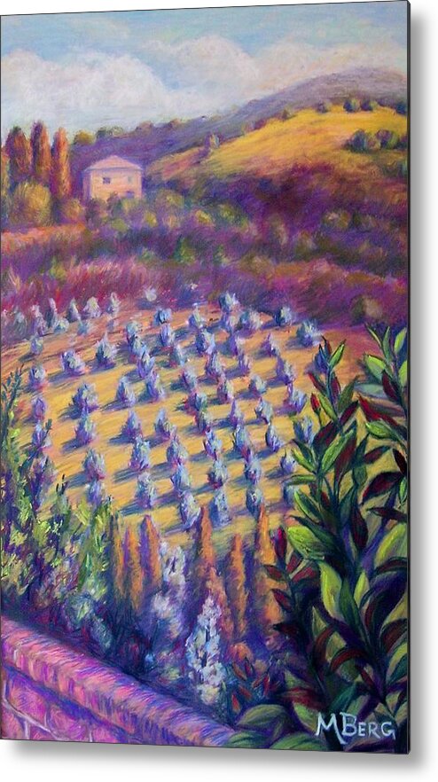 Plein Air Metal Print featuring the painting Olive Groves in Tuscany by Marian Berg