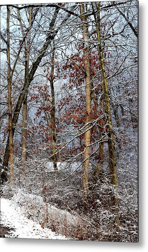 Winter Metal Print featuring the photograph On Such A Winter's Day by Deena Stoddard